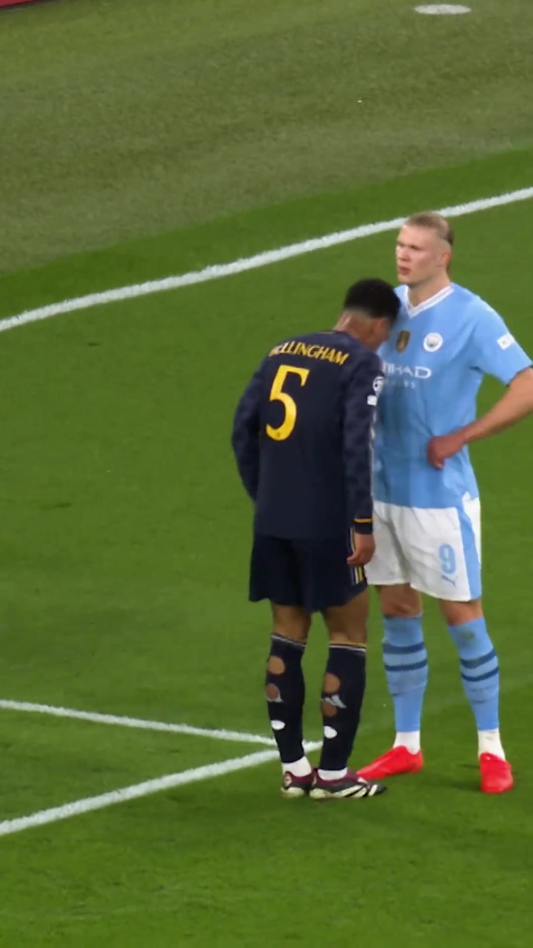 貝林哈蘭德才是我心靈的港灣