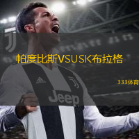 帕度比斯VSUSK布拉格