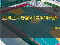 亞特蘭大老鷹VS夏洛特黃蜂