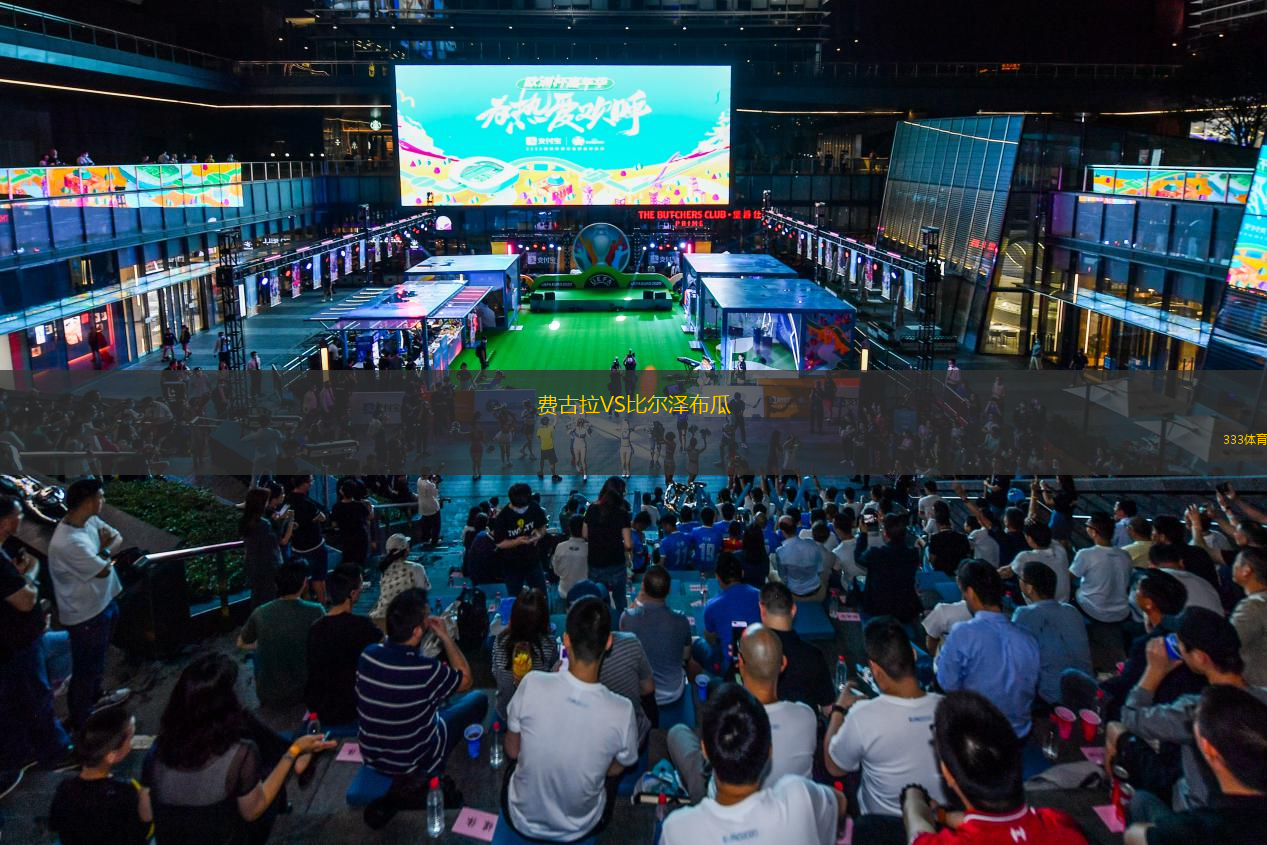 費(fèi)古拉VS比爾澤布瓜