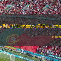 布列斯特迪納摩VS明斯克迪納摩