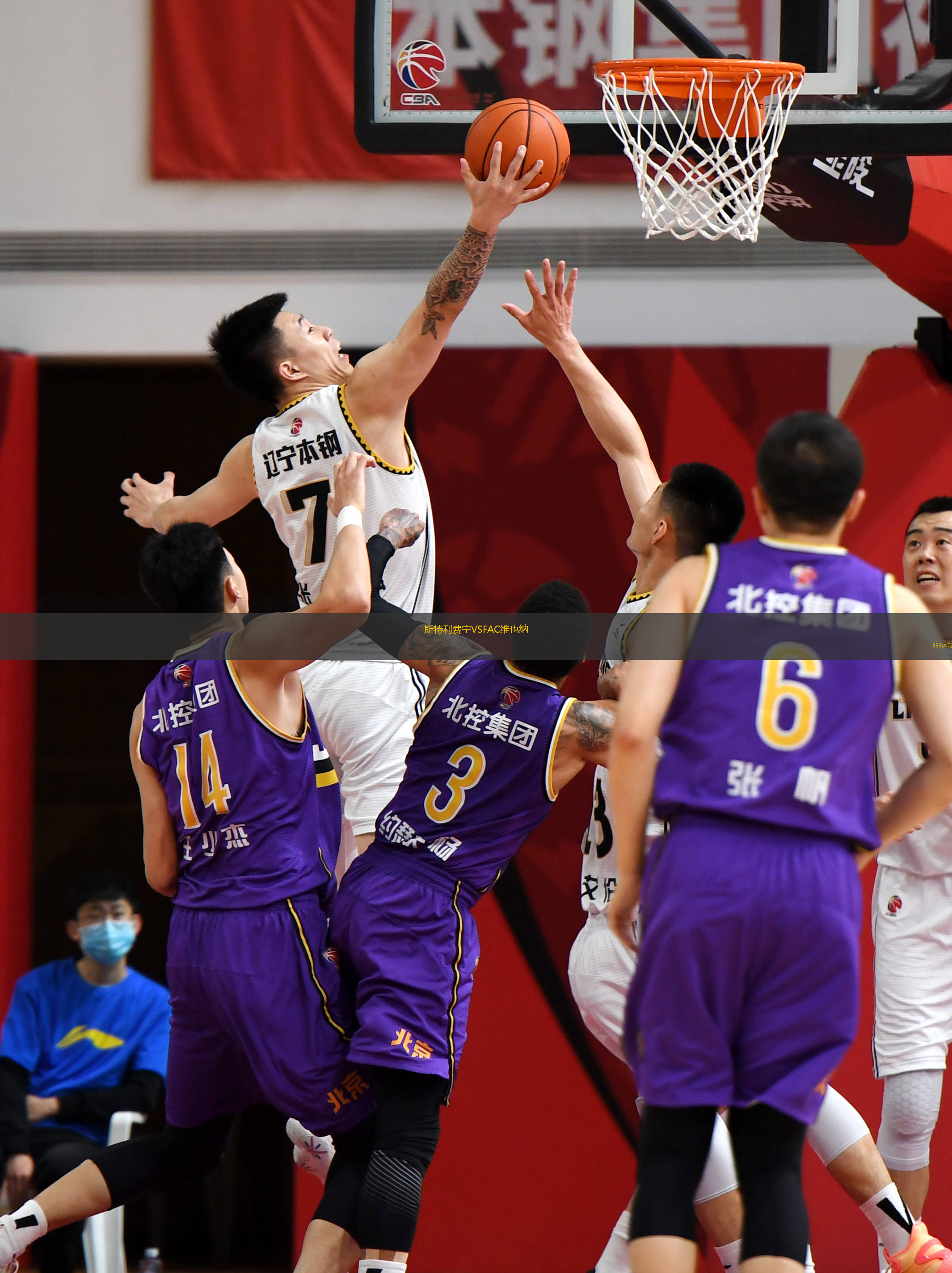 斯特利費寧VSFAC維也納