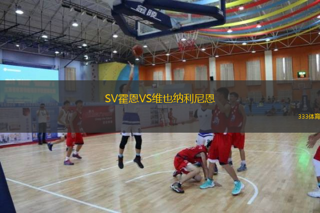 SV霍恩VS維也納利尼恩