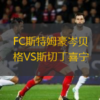 FC斯特姆豪岑貝格VS斯切丁喜寧