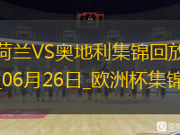 06月26日歐洲杯小組賽D組第3輪荷蘭vs奧地利進球視頻