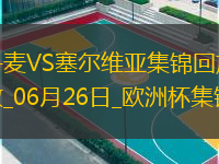 歐洲杯小組賽C組第3輪丹麥vs塞爾維亞精彩片段