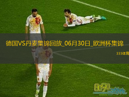 06月30日歐洲杯1/8決賽德國vs丹麥精彩片段
