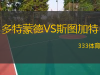 多特蒙德VS斯圖加特