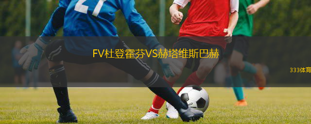 FV杜登霍芬VS赫塔維斯巴赫