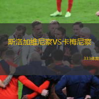 斯洛加維尼察VS卡梅尼察