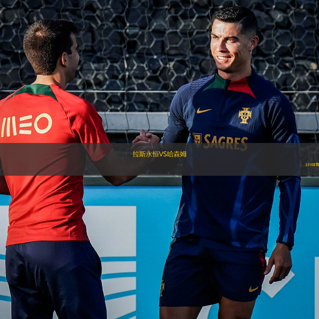 拉斯永恒VS哈森姆