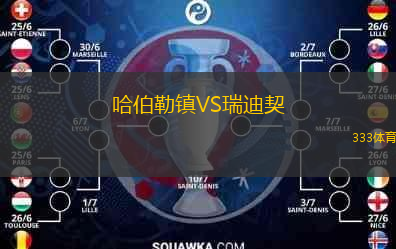 哈伯勒鎮(zhèn)VS瑞迪契