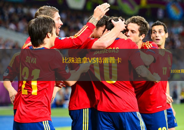 比殊迪拿VS特雷普卡