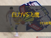 自力VS飛鷹