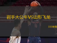 巖手大公牛VS山形飛龍