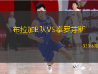 布拉加B隊VS泰羅芬斯