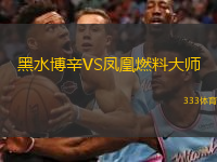 黑水博辛VS鳳凰燃料大師