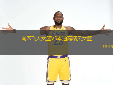 南區(qū)飛人女籃VS本迪高精靈女籃