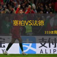 塞柏VS法德