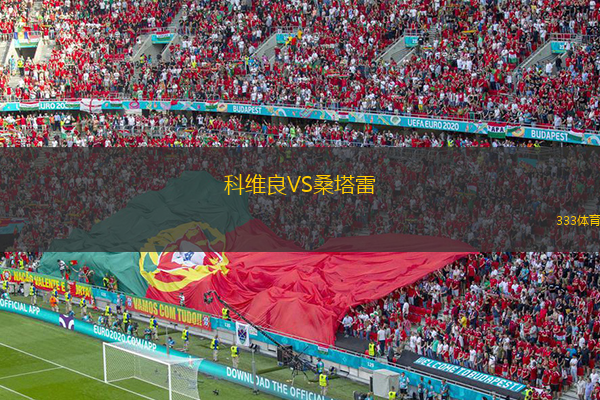 科維良VS桑塔雷