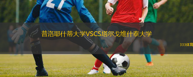普洛耶什蒂大學VSCS塔爾戈維什泰大學