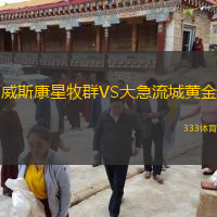 威斯康星牧群VS大急流城黃金