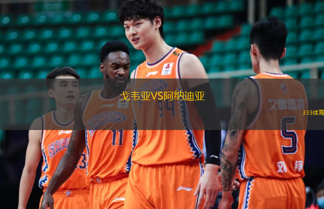 戈韋亞VS阿納迪亞