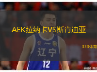 AEK拉納卡VS斯肯迪亞