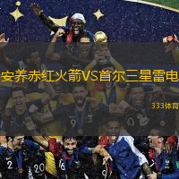 安養(yǎng)赤紅火箭VS首爾三星雷電