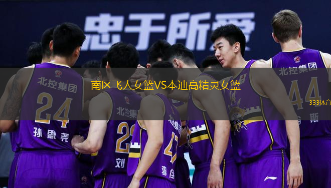南區(qū)飛人女籃VS本迪高精靈女籃