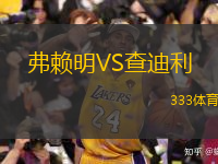 弗賴明VS查迪利