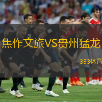 焦作文旅VS貴州猛龍